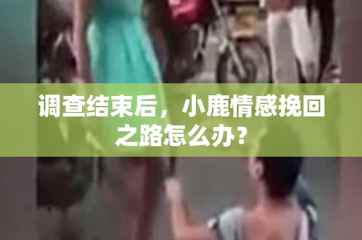 调查结束后，小鹿情感挽回之路怎么办？