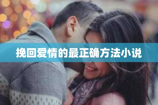 挽回爱情的最正确方法小说