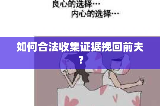 如何合法收集证据挽回前夫？