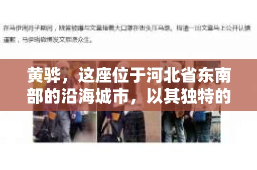 黄骅，这座位于河北省东南部的沿海城市，以其独特的地理位置和丰富的历史文化而闻名。然而，在这座城市中，还有一群人，他们以另一种方式默默守护着社会的公平与正义——私家侦探。今天，我们就来聊聊黄骅的私家侦探，看看他们是如何在这个城市中发挥作用的。