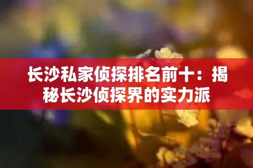 长沙私家侦探排名前十：揭秘长沙侦探界的实力派
