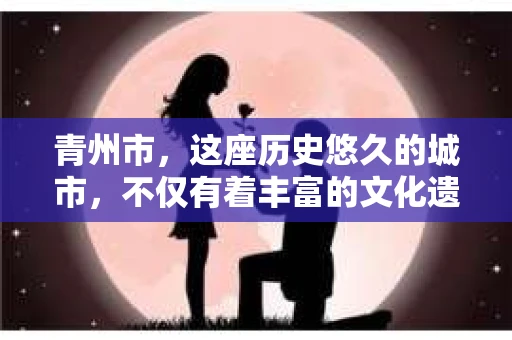 青州市，这座历史悠久的城市，不仅有着丰富的文化遗产，也有着现代生活的便捷。那么，问题来了——青州市有私家侦探公司吗？这个问题，对于需要侦探服务的人来说，无疑至关重要。接下来，我就来为大家揭开这个谜底。