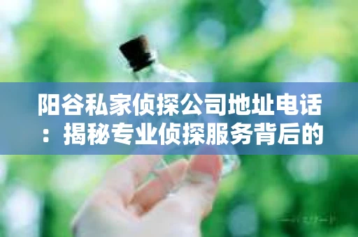 阳谷私家侦探公司地址电话：揭秘专业侦探服务背后的故事