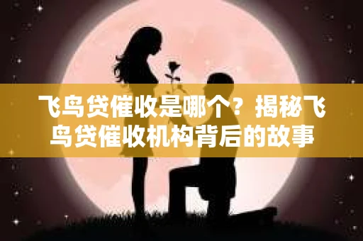 飞鸟贷催收是哪个？揭秘飞鸟贷催收机构背后的故事