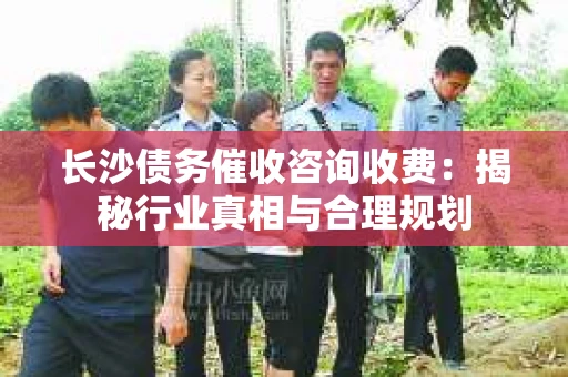 长沙债务催收咨询收费：揭秘行业真相与合理规划