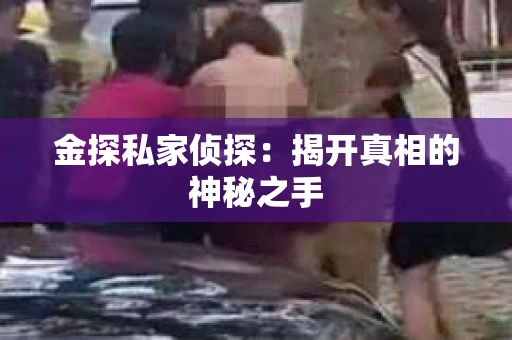 金探私家侦探：揭开真相的神秘之手
