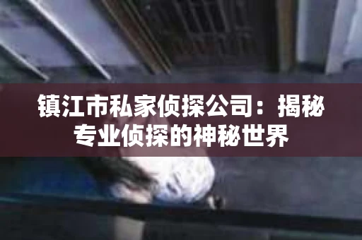 镇江市私家侦探公司：揭秘专业侦探的神秘世界