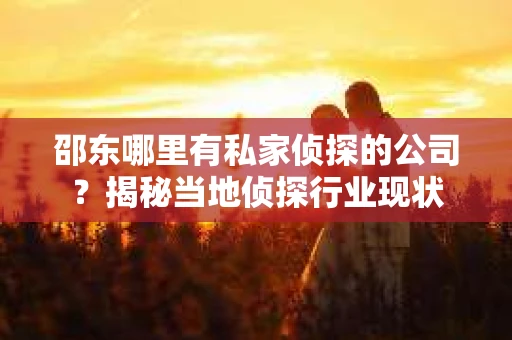 邵东哪里有私家侦探的公司？揭秘当地侦探行业现状