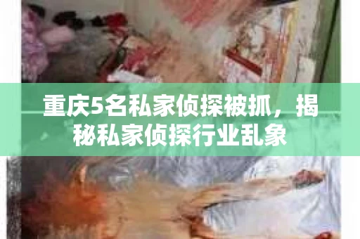 重庆5名私家侦探被抓，揭秘私家侦探行业乱象