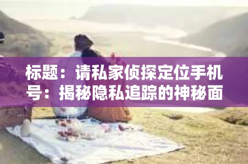 标题：请私家侦探定位手机号：揭秘隐私追踪的神秘面纱