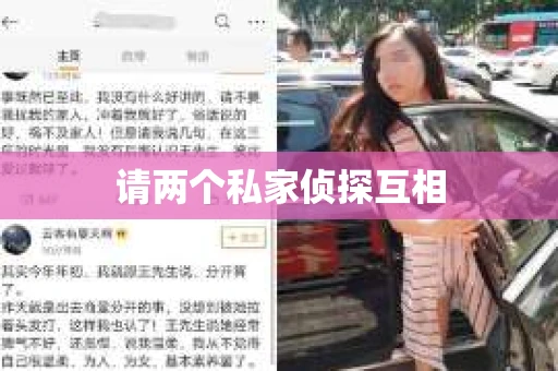 请两个私家侦探互相