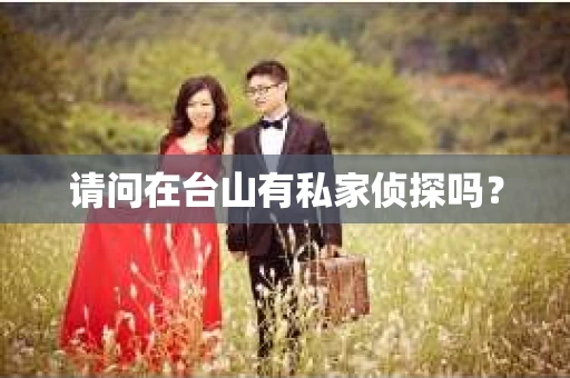 请问在台山有私家侦探吗？