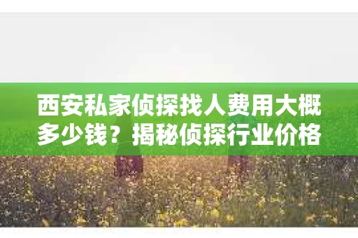 西安私家侦探找人费用大概多少钱？揭秘侦探行业价格之谜