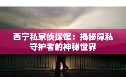 西宁私家侦探馆：揭秘隐私守护者的神秘世界