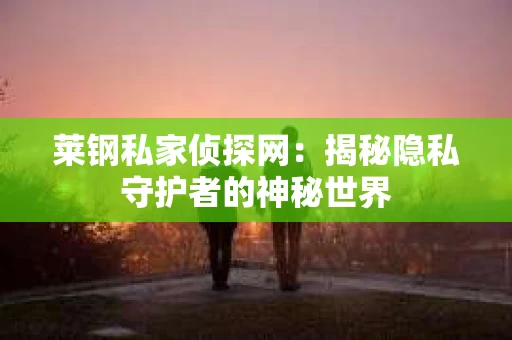 莱钢私家侦探网：揭秘隐私守护者的神秘世界