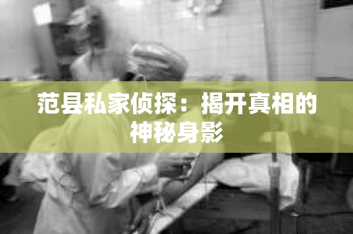 范县私家侦探：揭开真相的神秘身影