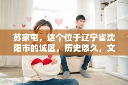 苏家屯，这个位于辽宁省沈阳市的城区，历史悠久，文化底蕴深厚。近年来，随着社会的发展，人们对于私家侦探的需求也逐渐增加。那么，苏家屯有私家侦探吗？今天，我们就来聊聊这个话题。