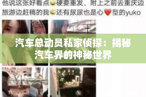 汽车总动员私家侦探：揭秘汽车界的神秘世界