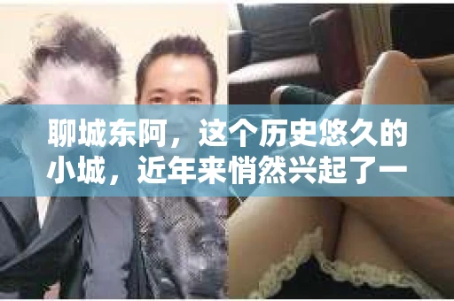 聊城东阿，这个历史悠久的小城，近年来悄然兴起了一股新的服务潮流——私家侦探。今天，我们就来聊聊这个话题，看看在聊城东阿，私家侦探是如何成为人们生活中的一部分的。