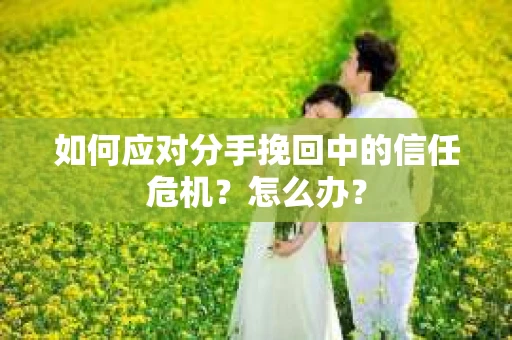 如何应对分手挽回中的信任危机？怎么办？