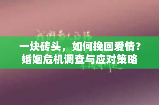 一块砖头，如何挽回爱情？婚姻危机调查与应对策略
