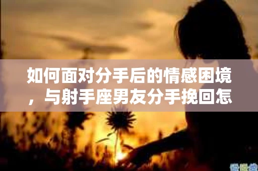 如何面对分手后的情感困境,与射手座男友分手挽回怎么办? 如何面对分手后的情感困境,与射手座男友分手挽回怎么办?