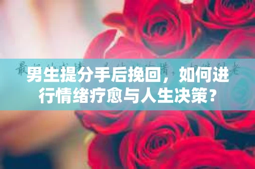 男生提分手后挽回，如何进行情绪疗愈与人生决策？