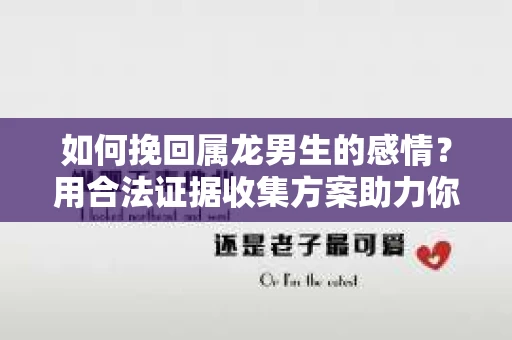 如何挽回属龙男生的感情？用合法证据收集方案助力你的努力？