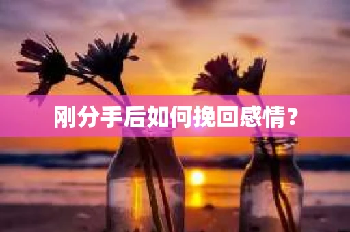 刚分手后如何挽回感情？
